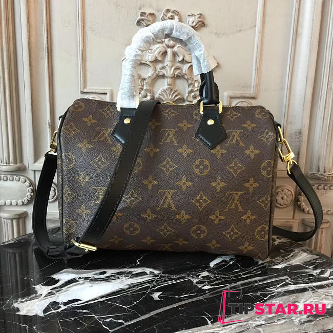 louis vuitton speedy 25 monogram - 1