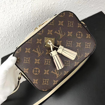  louis vuitton saint CohotBag onge m43559