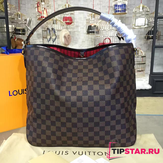 CohotBag louis vuitton delightful damier ebene  3438 - 1