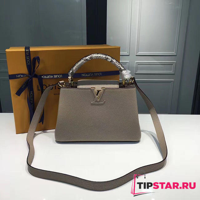 LV Capucines BB galet 3673 27cm - 1