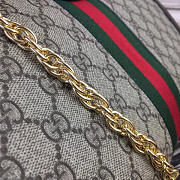 GUCCI Ophidia Bag 5614 - 3