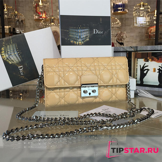 CohotBag dior woc 1688 - 1