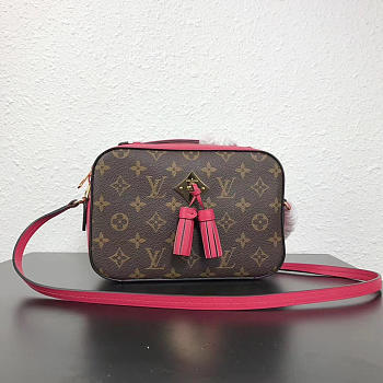 LV Monogram saintonge freesia m43557