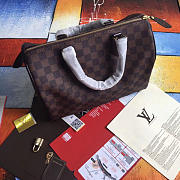 louis vuitton speedy 30 n41364 3119 - 3