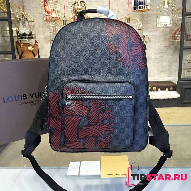  louis vuitton josh CohotBag m41530 red  - 1