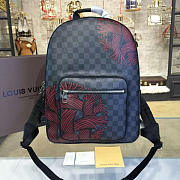  louis vuitton josh CohotBag m41530 red  - 6