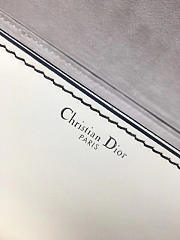 CohotBag dior evolution bag 1805 - 5