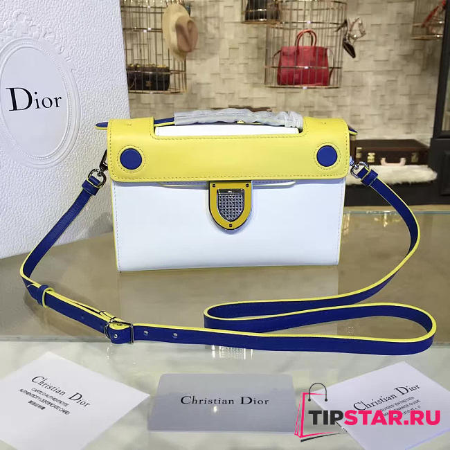 CohotBag dior ever 1543 - 1