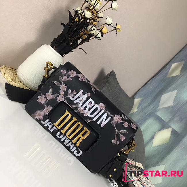 CohotBag dior evolution bag 1827 - 1