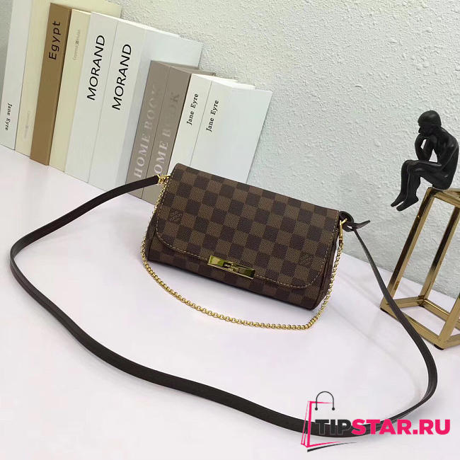  louis vuitton favorite CohotBag  damier ebene pm 3713 - 1