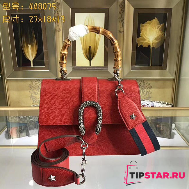 GUCCI Dionysus Medium Top Handbag (Red Leather) - 1