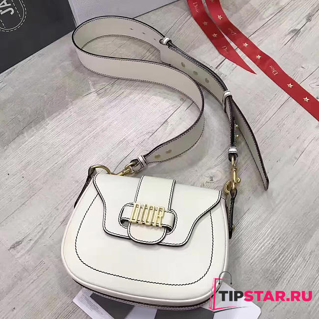CohotBag dior fence 1724 - 1