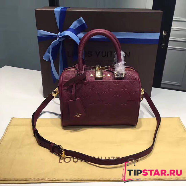 louis vuitton speedy 20 raisin 3819 - 1