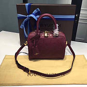 louis vuitton speedy 20 raisin 3819 - 1