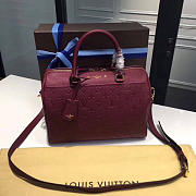 louis vuitton speedy 20 raisin 3819 - 2