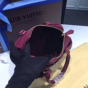 louis vuitton speedy 20 raisin 3819 - 3