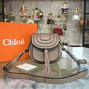 Chole Handbag 5462 - 2