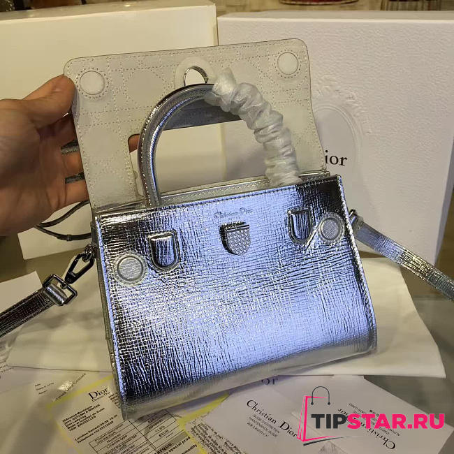 CohotBag dior ever 1534 - 1