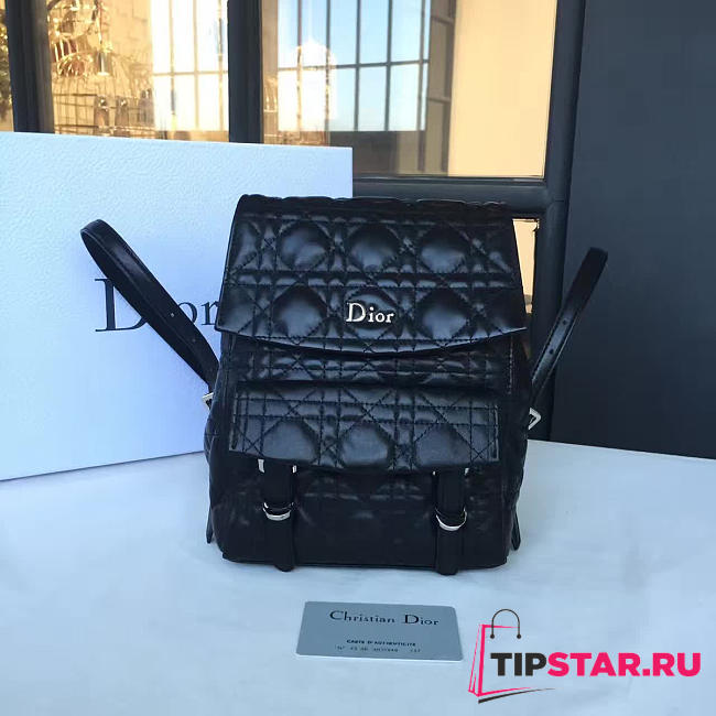 Dior backpack - 1
