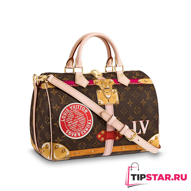 louis vuitton speedy 30 monogram m41386 - 1