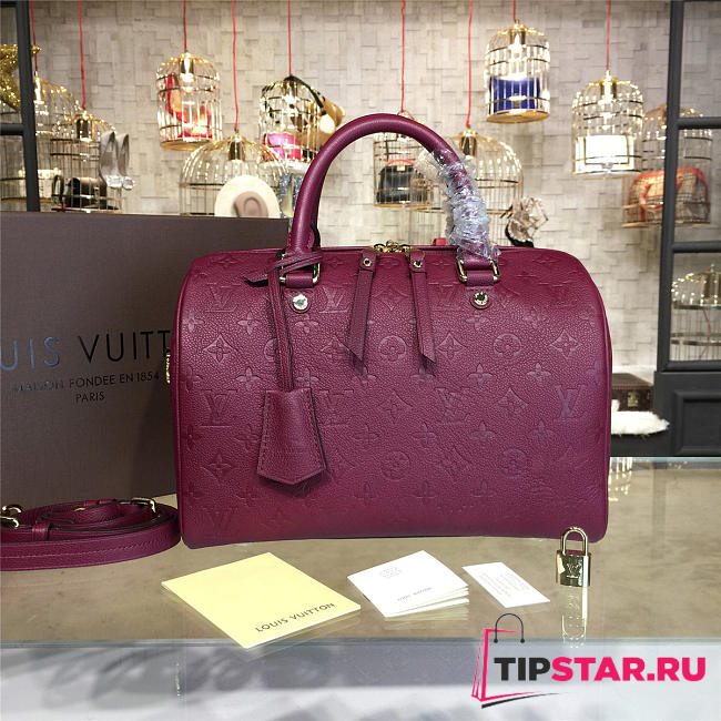 louis vuitton speedy bandoulière 30 3117 - 1