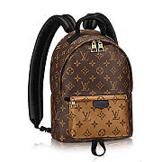 LV Palm springs backpack pm monogram m43116 - 1