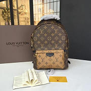 LV Palm springs backpack pm monogram m43116 - 2