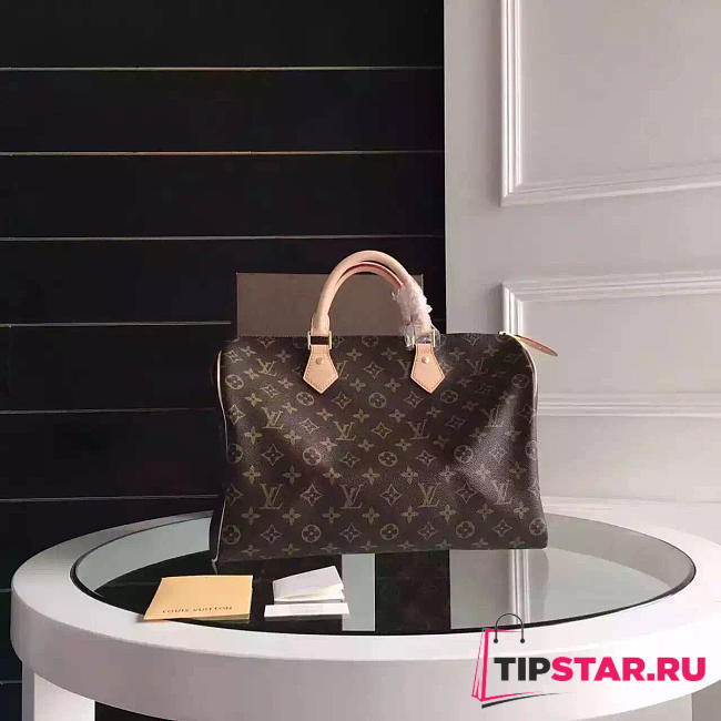 LV speedy 35 monogram canvas 3799 - 1