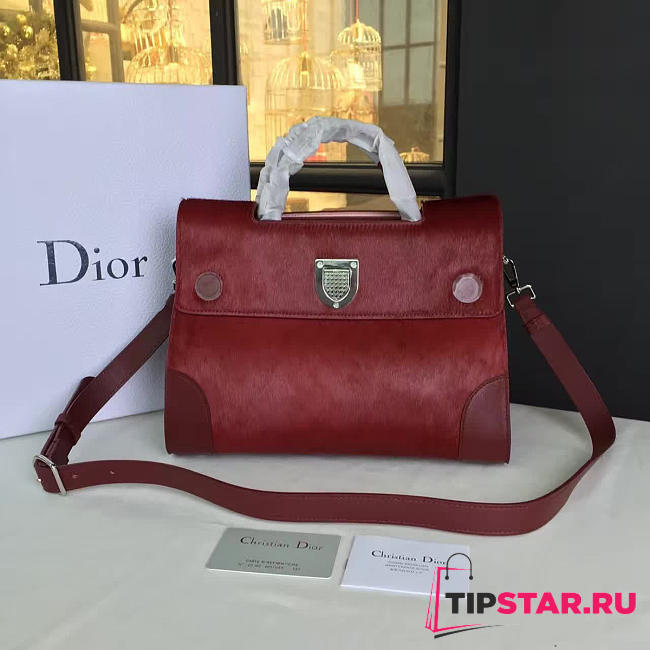 CohotBag dior ever 1723 - 1