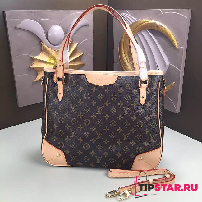 CohotBag louis vuitton estrela mm - 1