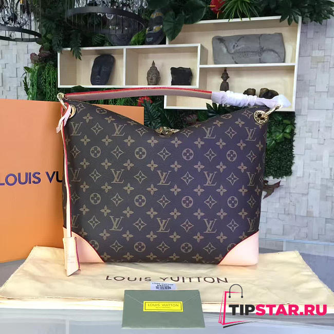 CohotBag louis vuitton berri pm  - 1