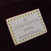 CohotBag louis vuitton berri pm  - 3