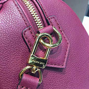 louis vuitton speedy 30 raisin 3802 - 4