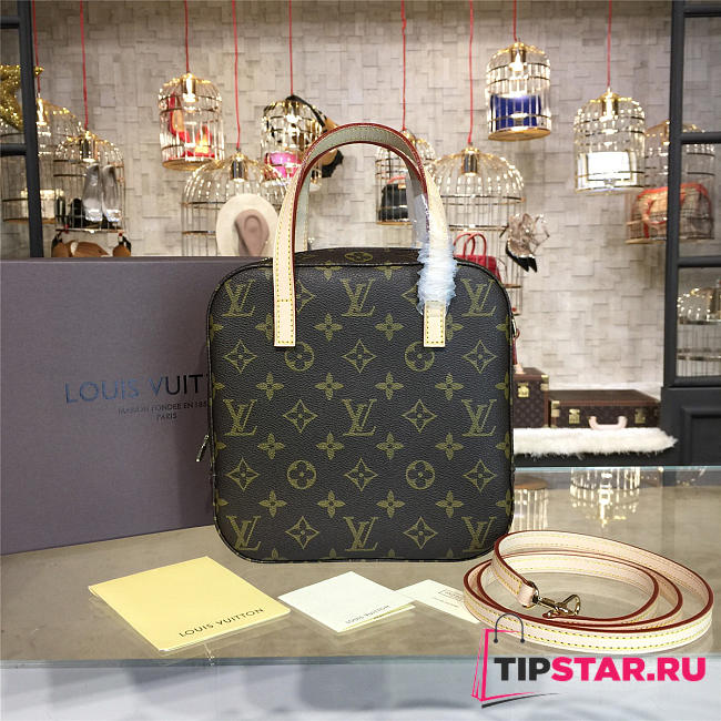 LV monogram CohotBag canvas nano - 1