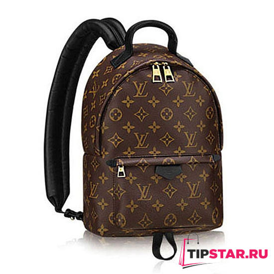 LV Palm springs backpack pm m41560 - 1