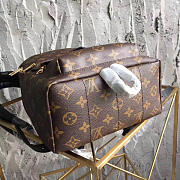 LV Palm springs backpack pm m41560 - 5