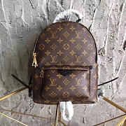 LV Palm springs backpack pm m41560 - 2