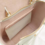 CohotBag celine belt bag 1166 - 4