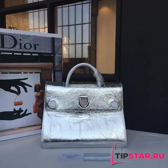 CohotBag dior ever 1731 - 1