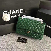 Chanel Lambskin Classic Double Flap Bag Green A01112 25cm - 2