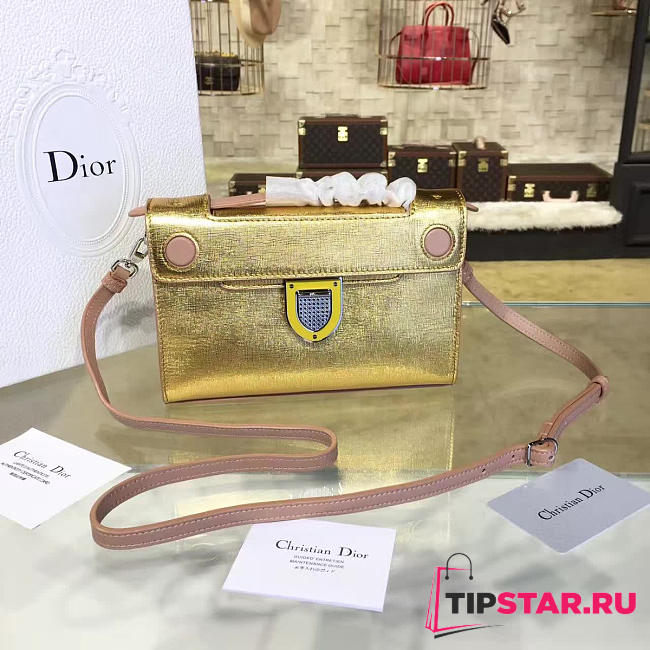 CohotBag dior ever 1537 - 1