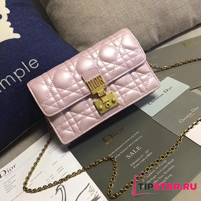CohotBag dior woc 1684 - 1