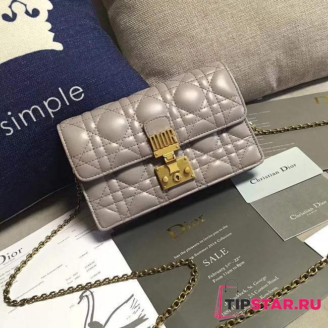 CohotBag dior woc 1678 - 1