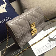 CohotBag dior woc 1678 - 5