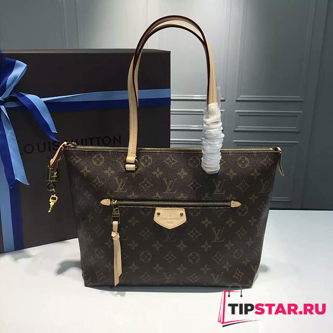 LV iena pm monogram canvas - 1