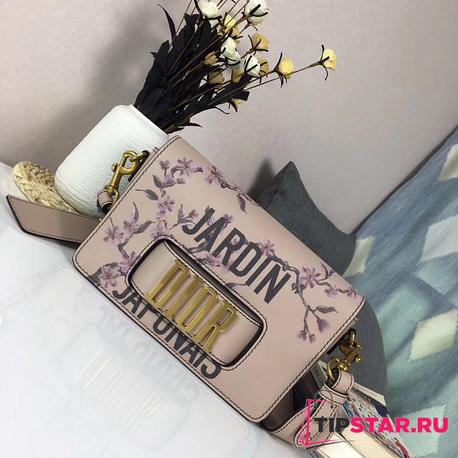 CohotBag dior evolution bag 1797 - 1