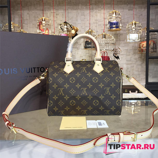 louis vuitton bandouliere speedy   - 1