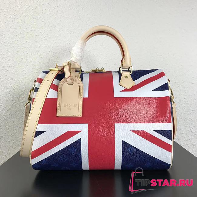 lv speedy 30 single pillow bag m40391 flag - 1