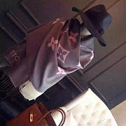 Louis Vuitton Scarf Grey  - 6