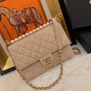 Chanel Classic Rhomboid Cover Bag Beige - 5